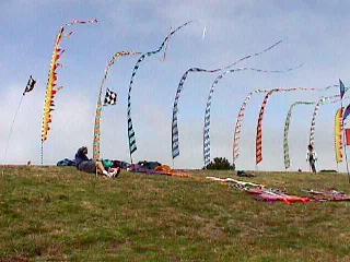 Colors in the wind...